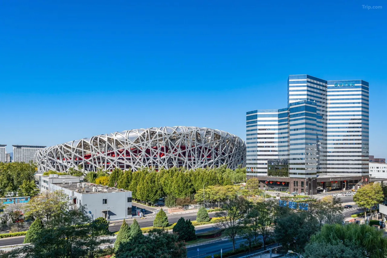 Grand Skylight Hotel Beijing (Bird's Nest Branch) - 2